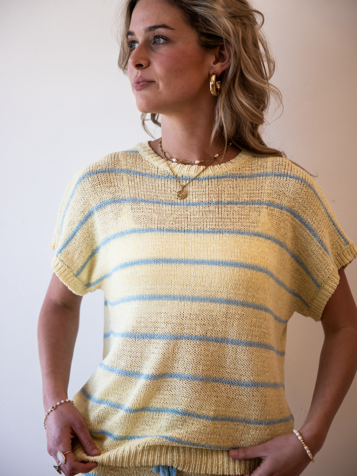 Between the Lines Stripe Knit Shorts