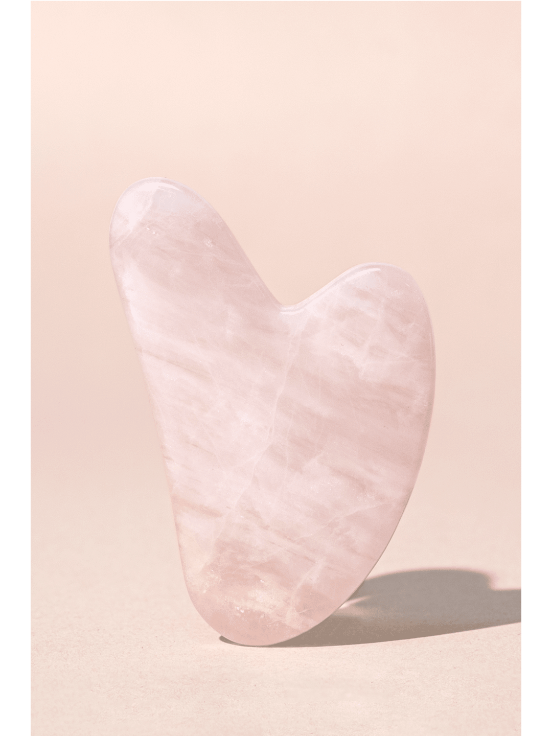 MIDNIGHT PALOMA ULTIMATE TOOL BUNDLE - Jayden P Boutique