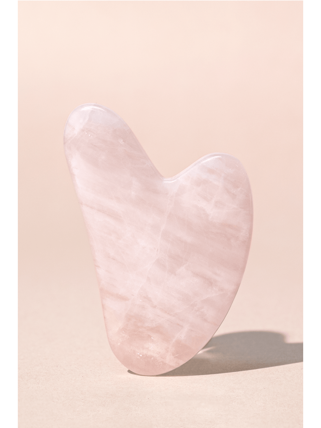 MIDNIGHT PALOMA ULTIMATE TOOL BUNDLE - Jayden P Boutique
